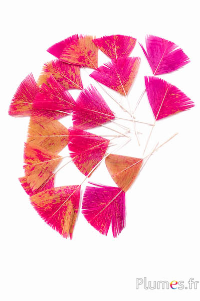 Blütenblätter aus Federn - 6-8 cm x 3-4 cm - curry-fuchsia